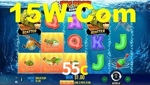 55c.com